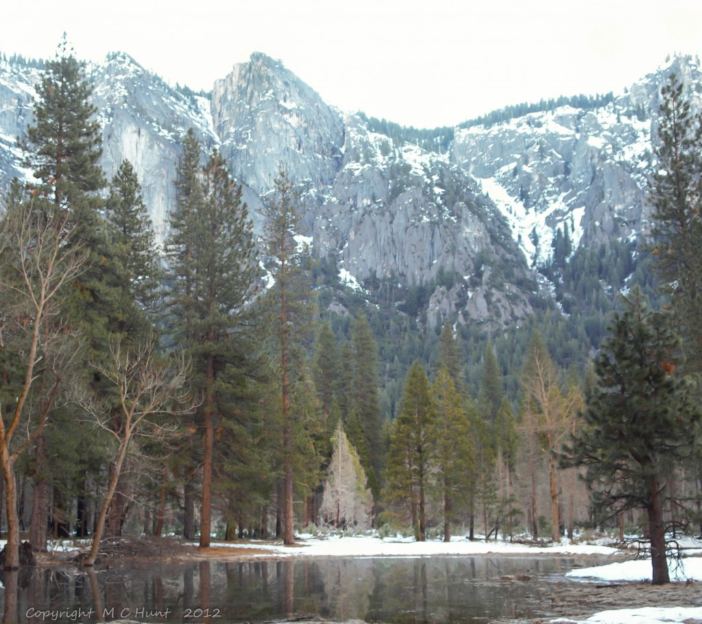 Yosemite silence
