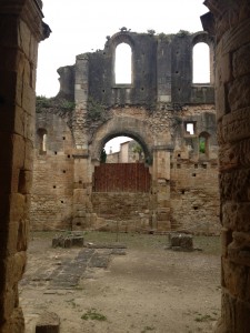 The Abbey Ruins at Alet-les-bains